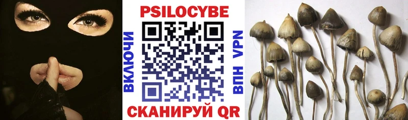 MEGA вход  Нижний Новгород  Галлюциногенные грибы Magic Shrooms 
